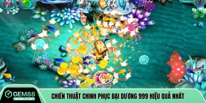 Chiến thuật chinh phục đại dương 999 hiệu quả nhất