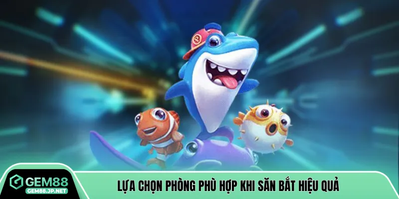 Lựa chọn phòng phù hợp khi săn bắt hiệu quả
